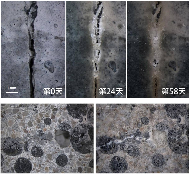 圖五、混凝土裂縫修補示意