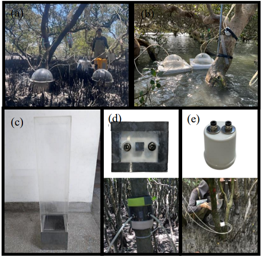 圖 5、紅樹林溫室氣體測量常用之各類型罩蓋。(a) 土壤圓形罩蓋 (b) 水體浮體罩蓋 (c) 土壤長柱體罩蓋 (d) 樹幹半剛性罩蓋 (e) 樹幹圓柱形罩蓋。(林與陳，2023)