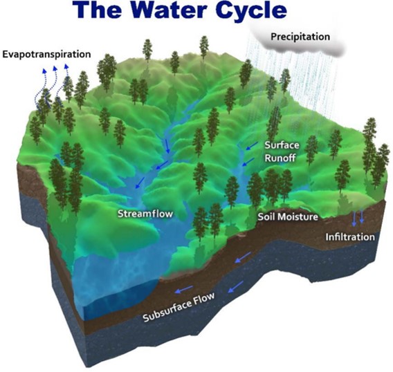 集水區降雨-逕流模式開發及應用性探討