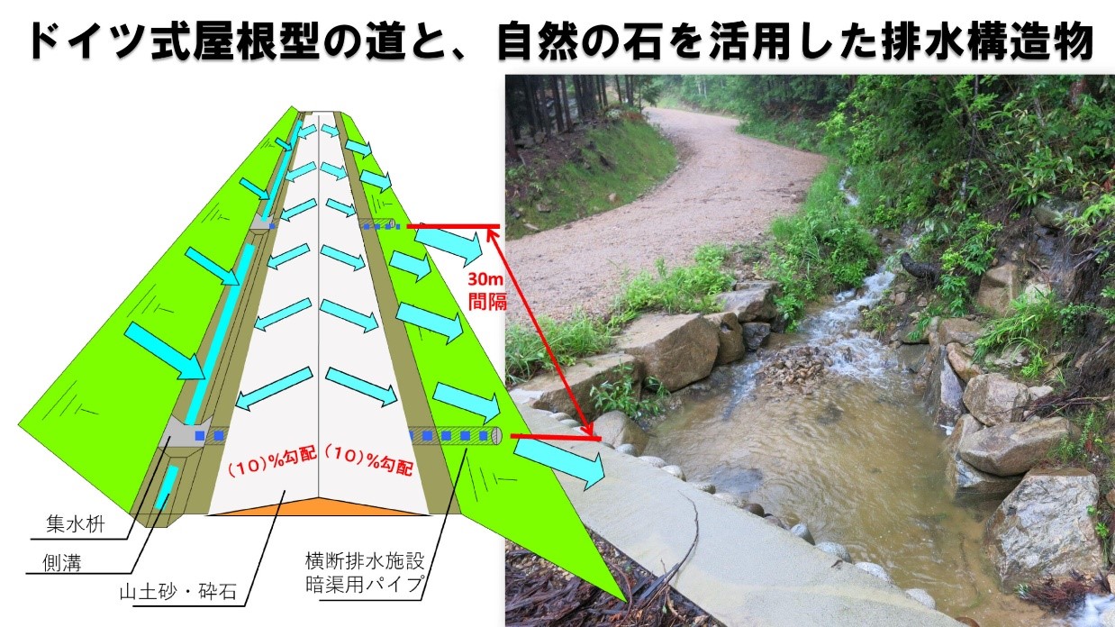 圖8、歐洲屋根型作業道如屋頂形狀的邊坡設計