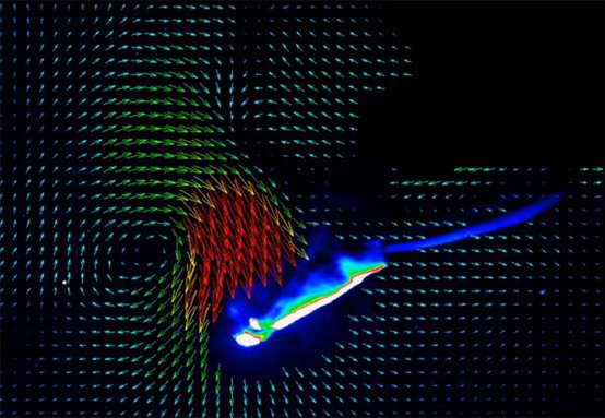 圖二、游泳自由式動作產生流場PIV觀測。( https://www.dantecdynamics.com/notes/piv-measurements-during-the-dolphin-kick-of-a-human-swimmer/)