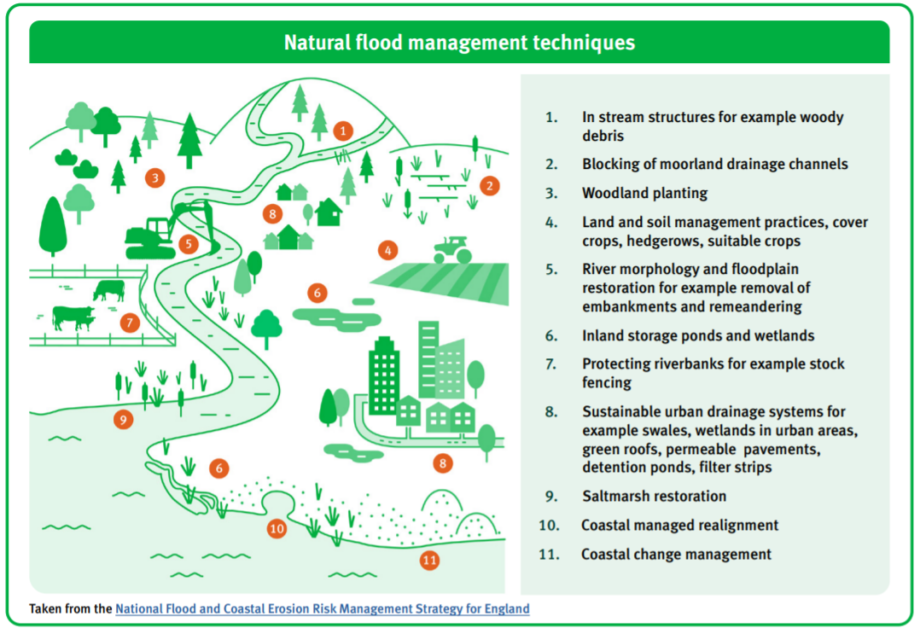 NFM措施對於降低洪水風險到底給不給力!