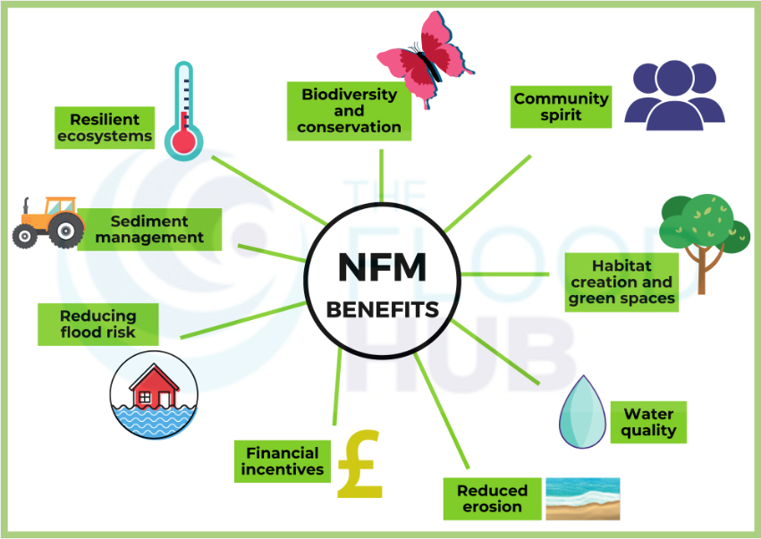 圖 3、NFM多重優點示意圖 (資料來源：https://thefloodhub.co.uk/nfm/)