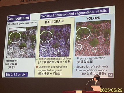 圖13、比較BASEGRAIN 軟體與訓練之YOLOv8之研究 (Samikshya Dahal)