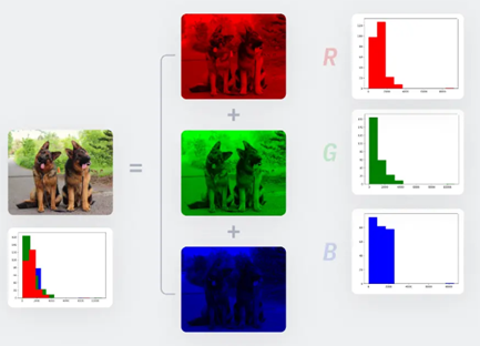 圖4、影像由紅色、綠色和藍色組成(Rohit Kundu，2022)