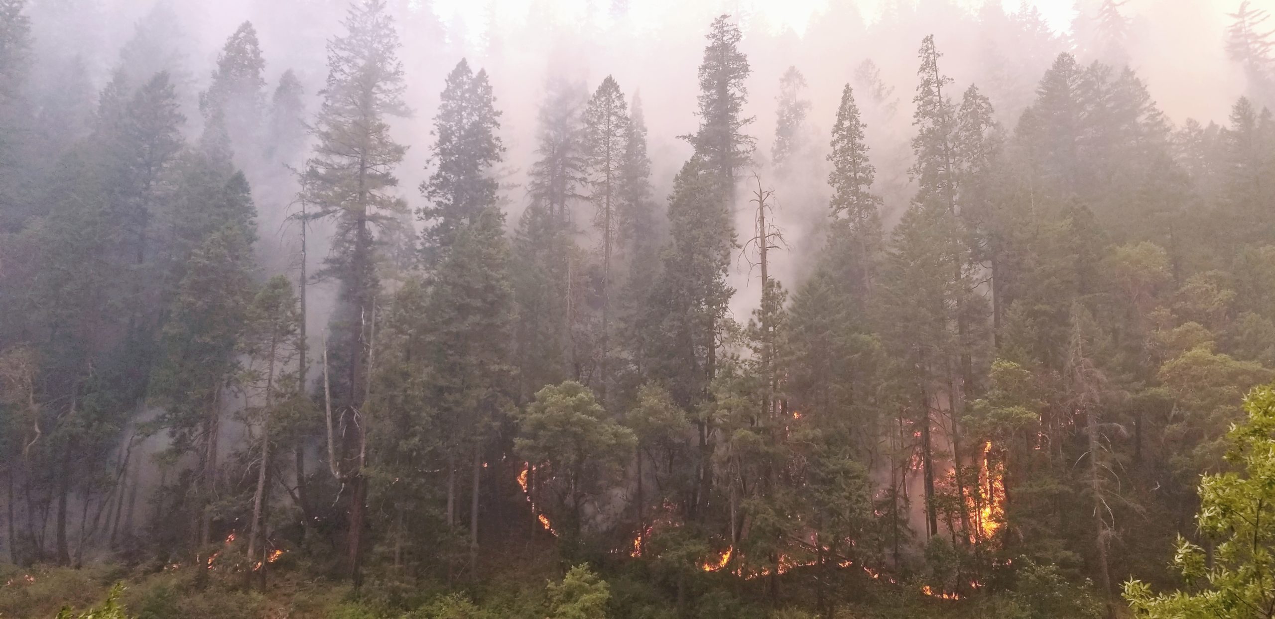 遙測及資料視覺化如何協助森林野火防救災－以2022年加州McKinney大火為例