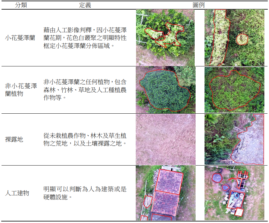 表 3、影像各分類特徵選取標準及定義。(江等人，2023)