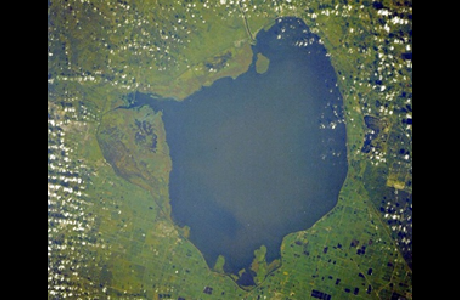 有機- Lake Okeechobee, 美國佛羅里達州