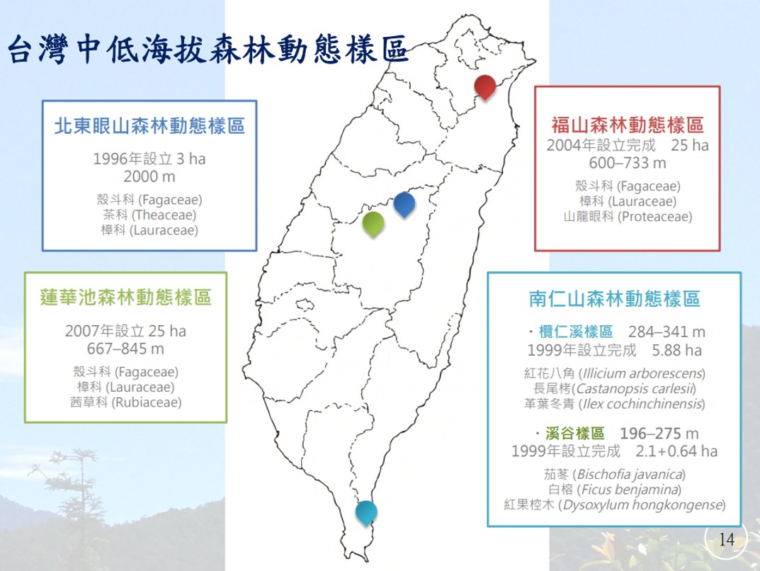 台灣中低海拔森林動態樣區